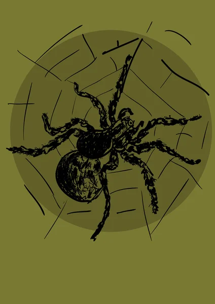 Araña — Vector de stock