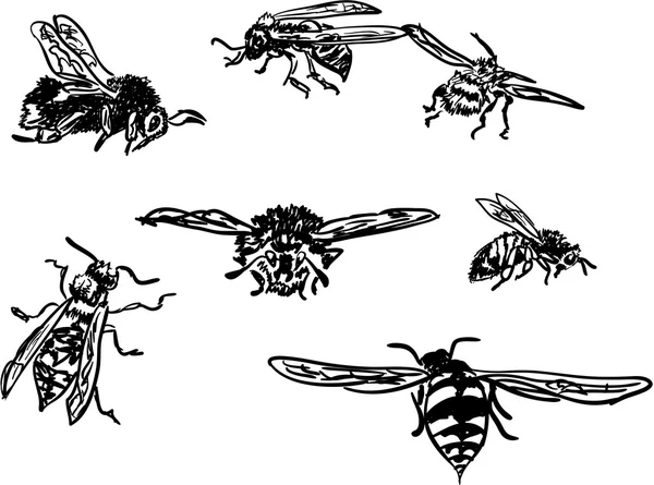 Bee, hommel, wasp — Stockvector