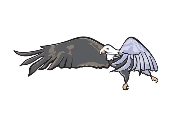 Eine Illustration Eines Adlers — Stockvektor