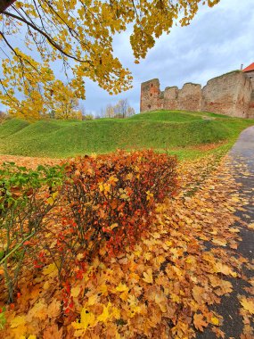  Şatolu sonbahar manzarası