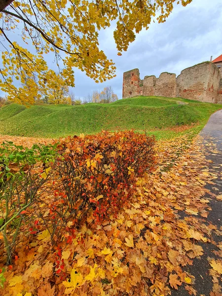 Paesaggio Autunnale Con Castello — Foto Stock