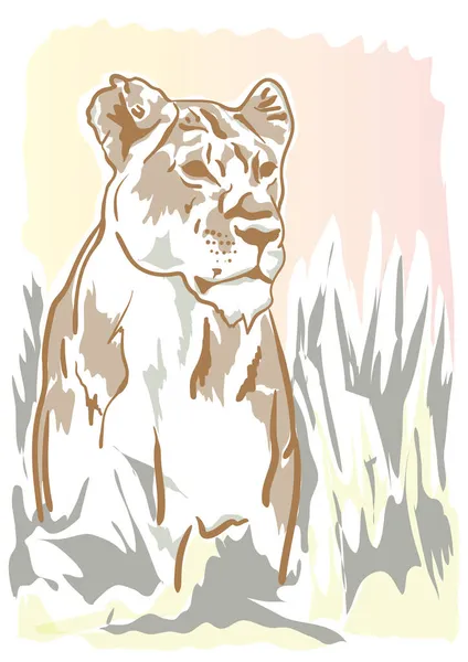 Een Portret Groot Roofdier Leeuwin Zoek — Stockvector