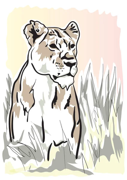 大きな捕食者のライオンのような姿で — ストックベクタ