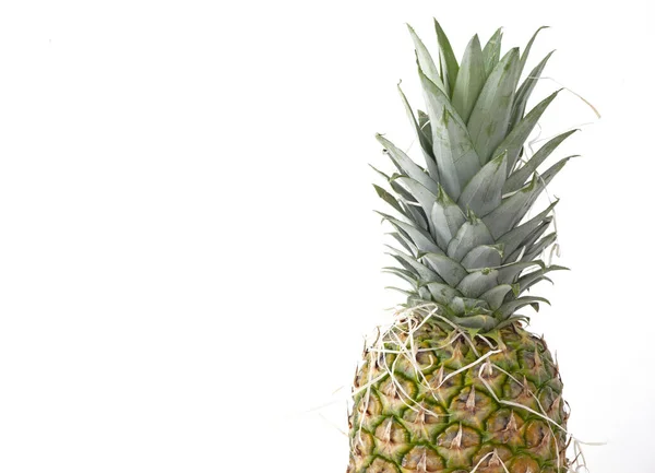 Ananas Witte Achtergrond — Stockfoto