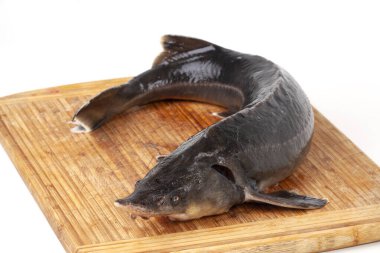 Ahşap arka planda mersin balığı