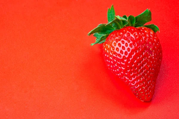 Een Zeer Smakelijke Aardbei Een Rode — Stockfoto