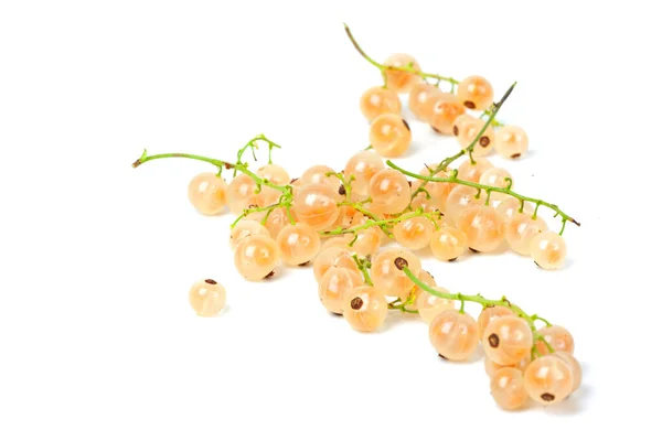 Very Tasty White Currant White — стоковое фото
