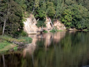 Gauja Nehri kıyısındaki kum taşı uçurumu, Gauja Ulusal Parkı, Letonya