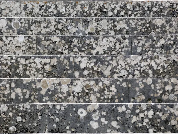 Textura Fungo Nas Pedras Das Escadas Antiga Fortaleza — Fotografia de Stock
