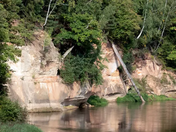 Cliff Arenito Margem Rio Gauja Parque Nacional Gauja Letónia — Fotografia de Stock