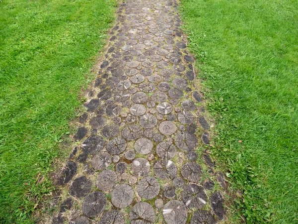 異なる直径のカット木で舗装パス 古い暗い木の質感 生態歩道 — ストック写真