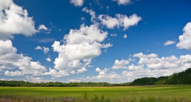Yeşil tarla ve bulutlu mavi gökyüzü