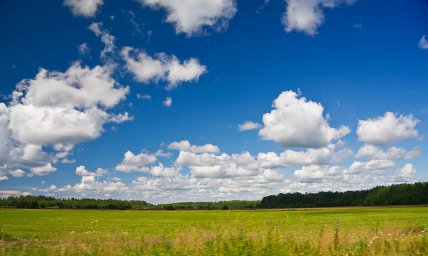 Groen veld en blauwe lucht met wolken — Stockfoto