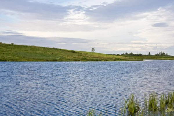 绿色的田野与河流景观 — 图库照片
