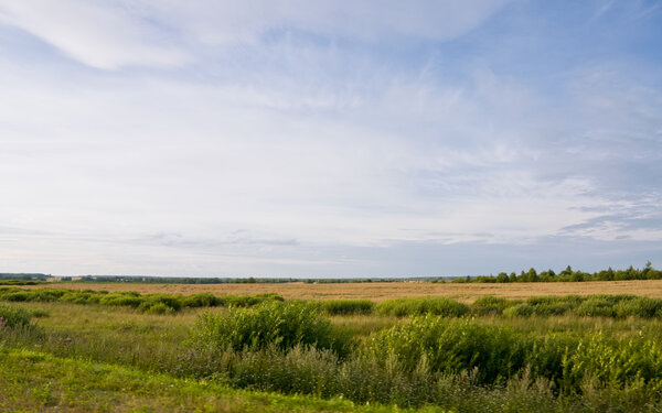 Green field and blue sky with clouds