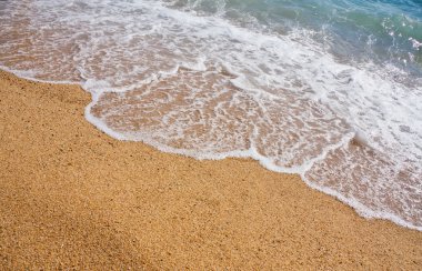 tropikal plaj turkuaz surf
