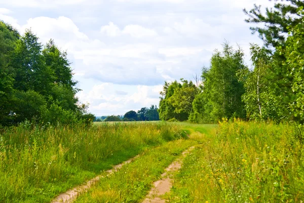 Sökväg i sommar skog — Stockfoto