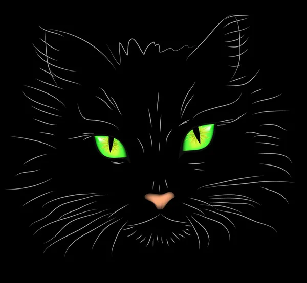 Ilustración vectorial un retrato de un gato sobre un fondo negro con ojos brillantemente verdes — Vector de stock