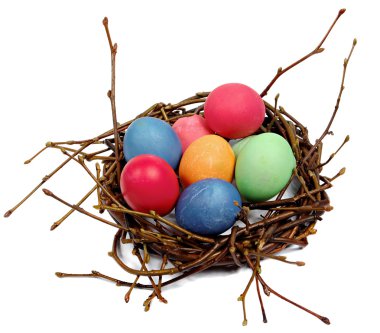 renkli Paskalya yumurtaları yuvadan dalları içinde