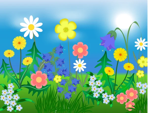 EPS10 ilustração vetorial Flores silvestres brilhantes contra o céu e uma grama — Vetor de Stock