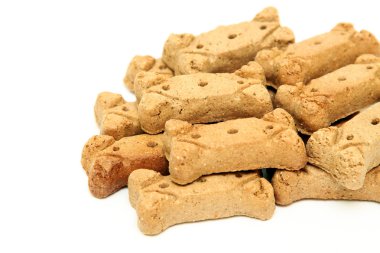 Beyaz bir arka plan üzerinde izole çiğneme için köpek kemiği