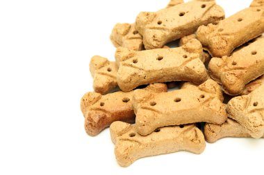 Beyaz bir arka plan üzerinde izole çiğneme için köpek kemiği