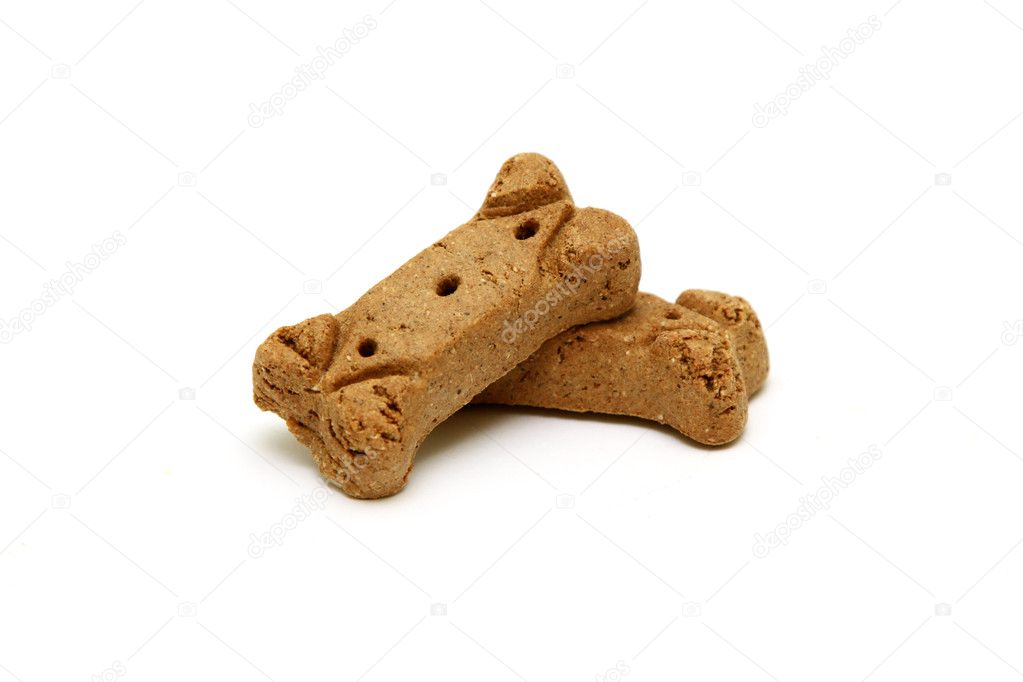 Dog bone for chewing isolated on a white background