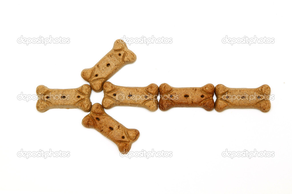 Dog bone for chewing isolated on a white background