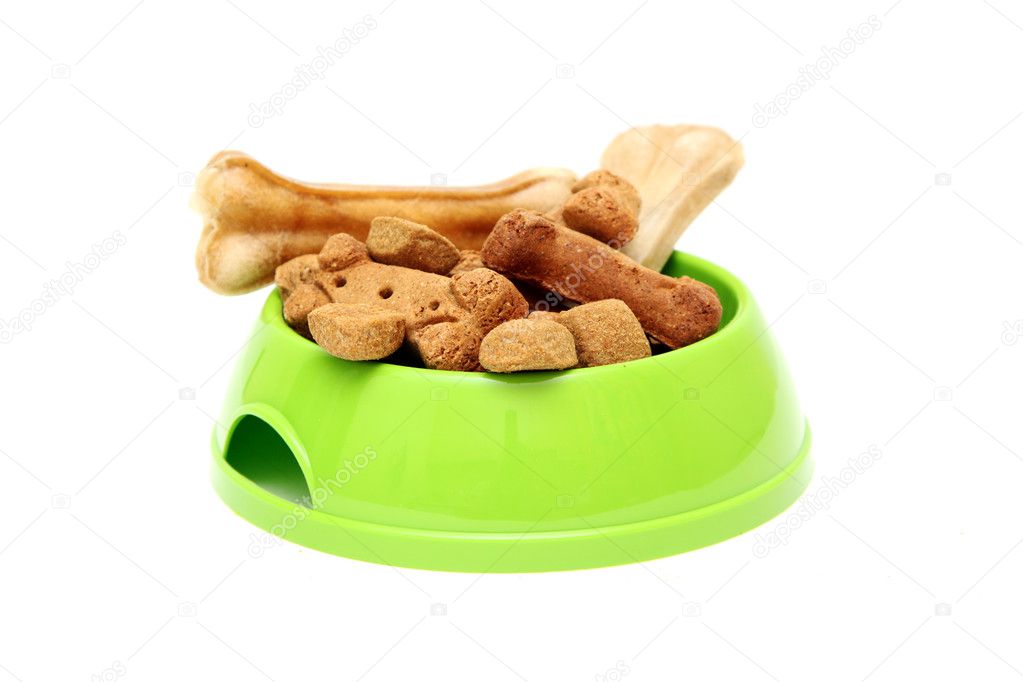 Dog dish with food garnished with bone isolated on white