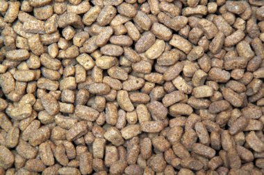 Kuru evcil hayvan gıda yakın çekim