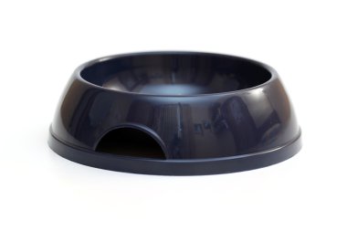 boş köpek beyaz zemin üzerinde izole kase