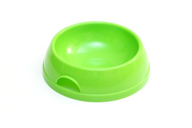 boş köpek beyaz zemin üzerinde izole kase