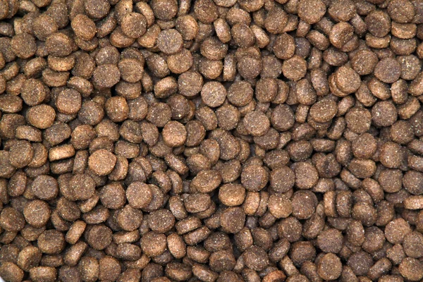 Dry pets food close-up — Stock Photo, Image