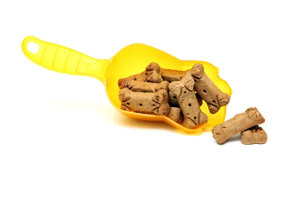 Nourriture marron sèche pour animaux dans une cuillère — Photo