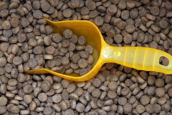 bir kaşık kuru kahverengi evcil hayvan gıda