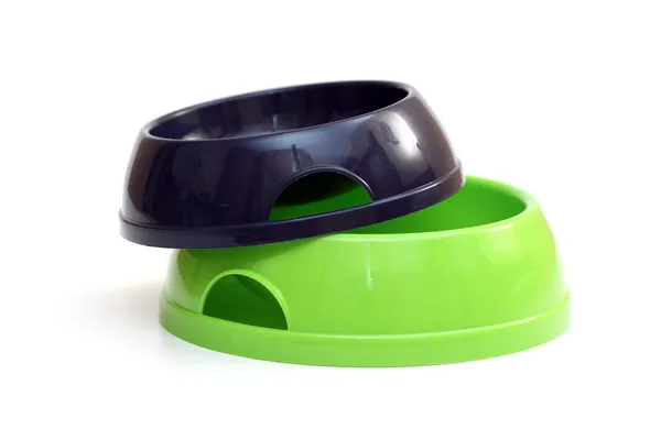 boş köpek beyaz zemin üzerinde izole kase