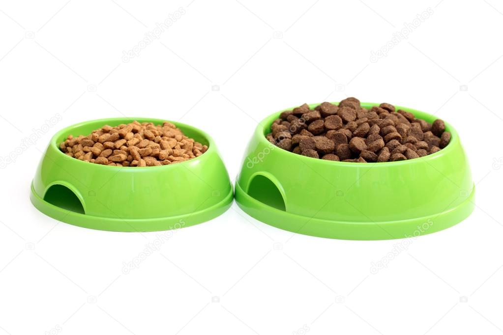 Bowls with dry food for dog or cat isolated on white background
