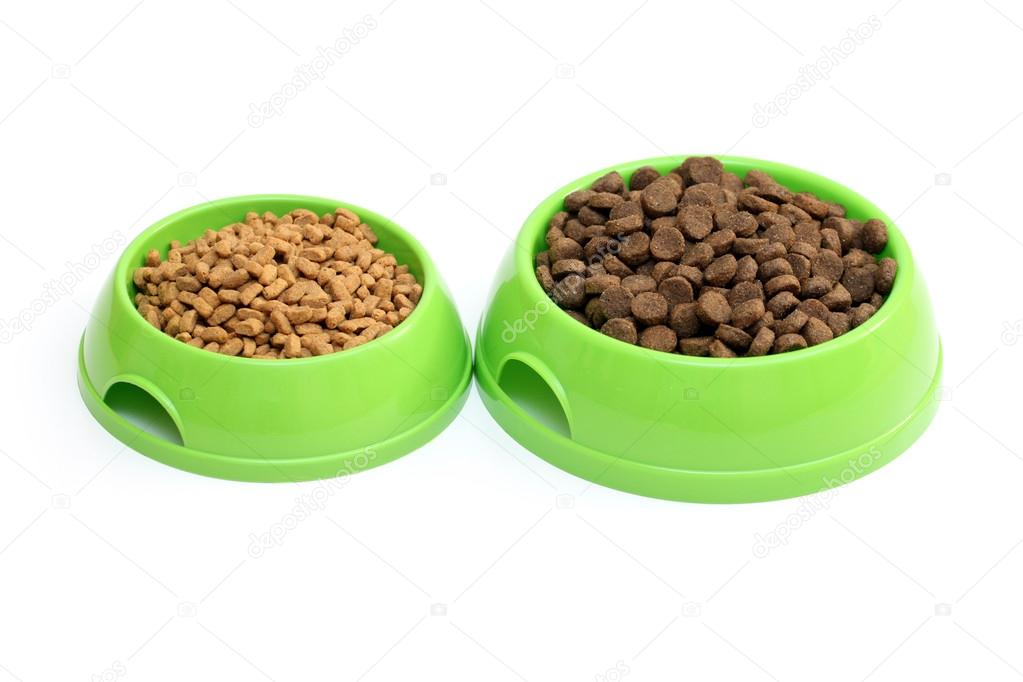 Bowls with dry food for dog or cat isolated on white background