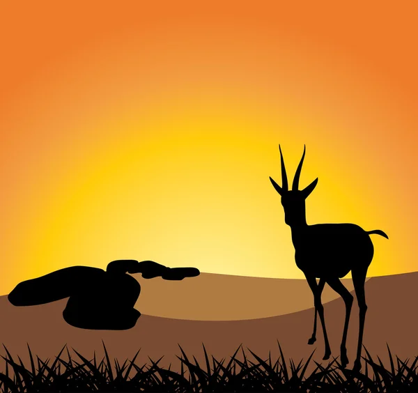 Antelope op een achtergrond van zonsondergang — Stockvector