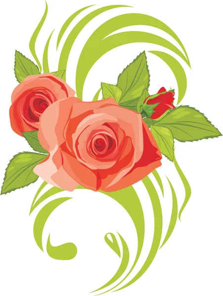 Kvete růžovými růžemi. dekorativní prvek — Stockový vektor