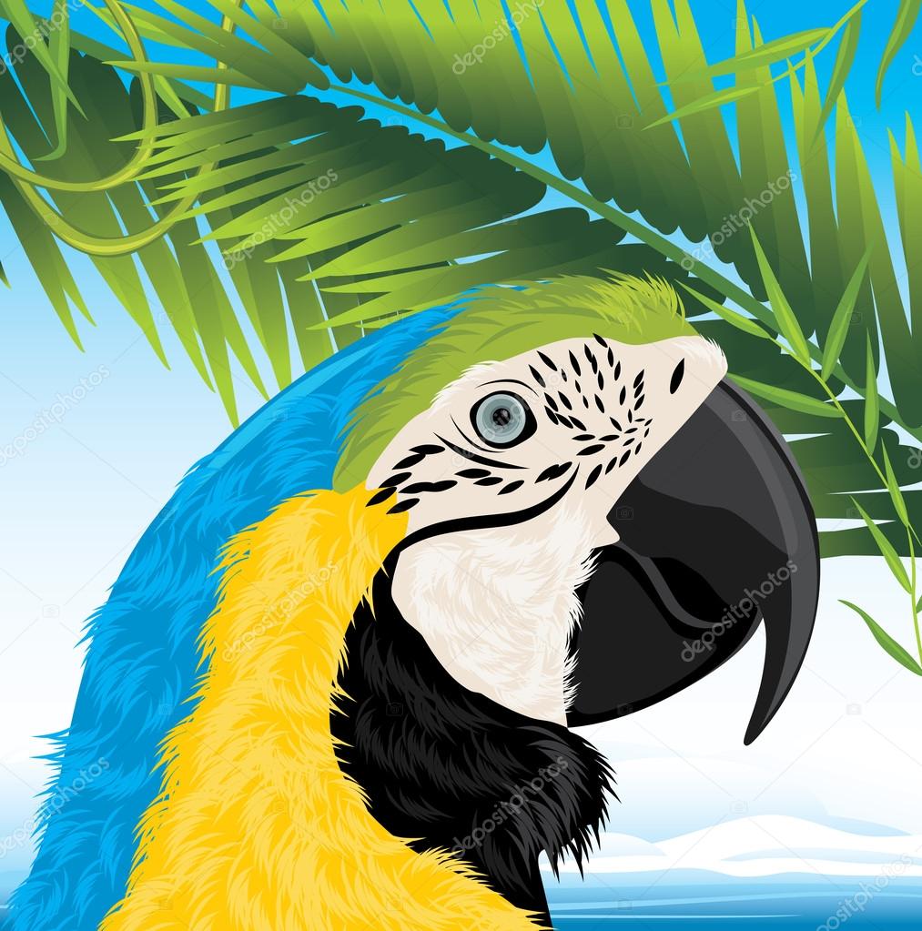 Parrot and palm branches