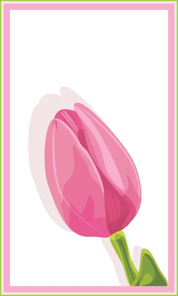 Tulipa rosa na moldura — Vetor de Stock