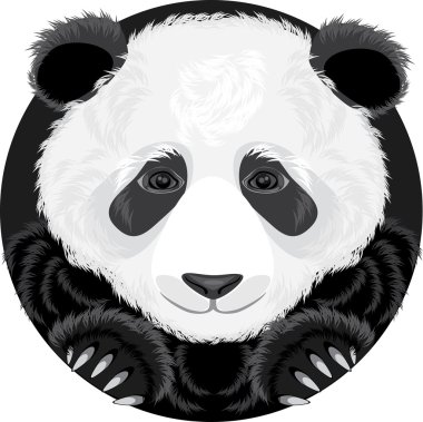 Panda.