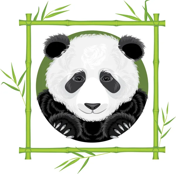 Panda in the bamboo frame — Stock Vector