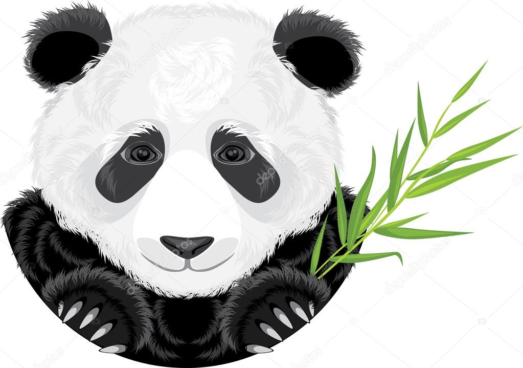 Panda with bamboo branch