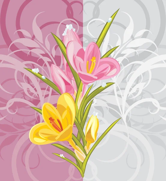 Bouquet of crocuses on the ornamental background — Stock Vector