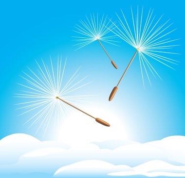 karahindiba doğa üzerinde kabartmak