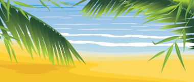 Palms sahil