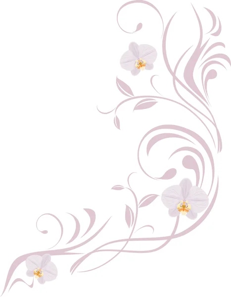 Ornamental sprig with orchids isolated on the white — Stock Vector