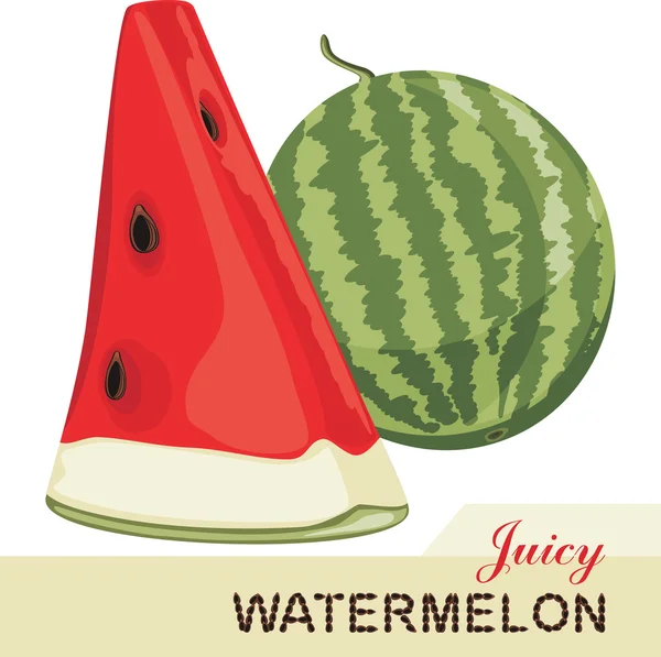 Juicy watermelon isolated on the white background — Stock Vector